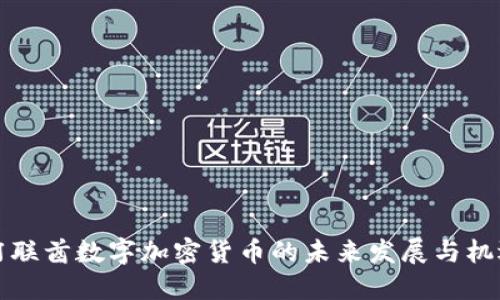 阿联酋数字加密货币的未来发展与机遇