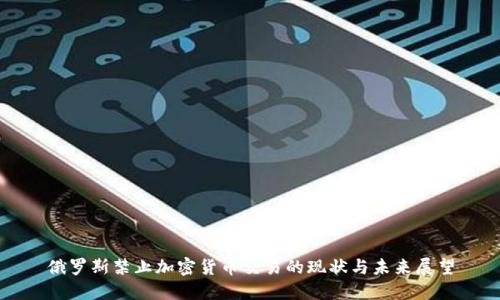 俄罗斯禁止加密货币交易的现状与未来展望