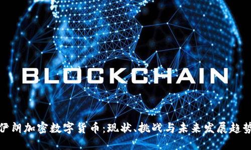伊朗加密数字货币：现状、挑战与未来发展趋势
