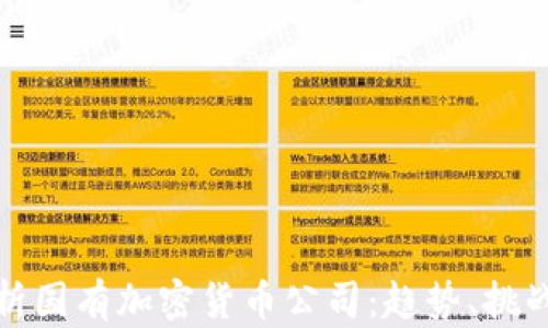 
全面解析国有加密货币公司：趋势、挑战与前景