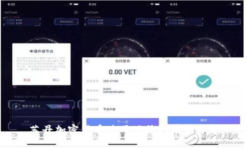 苏丹加密货币使用现状与前景分析