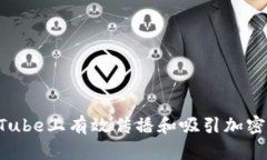 如何在YouTube上有效传播和
