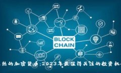 火热的加密货币：2023年最