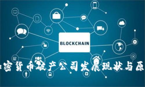 中国加密货币破产公司发展现状与原因分析